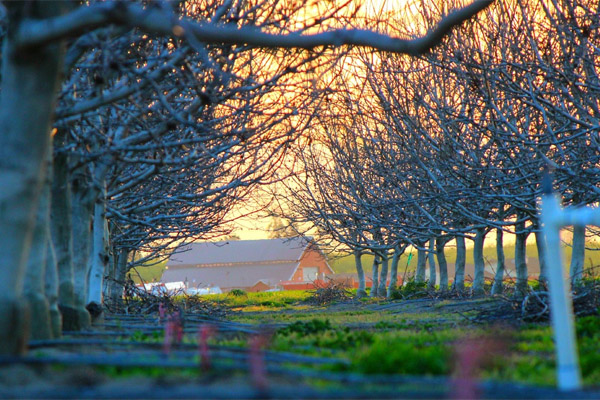 网站ddos隐藏源ip