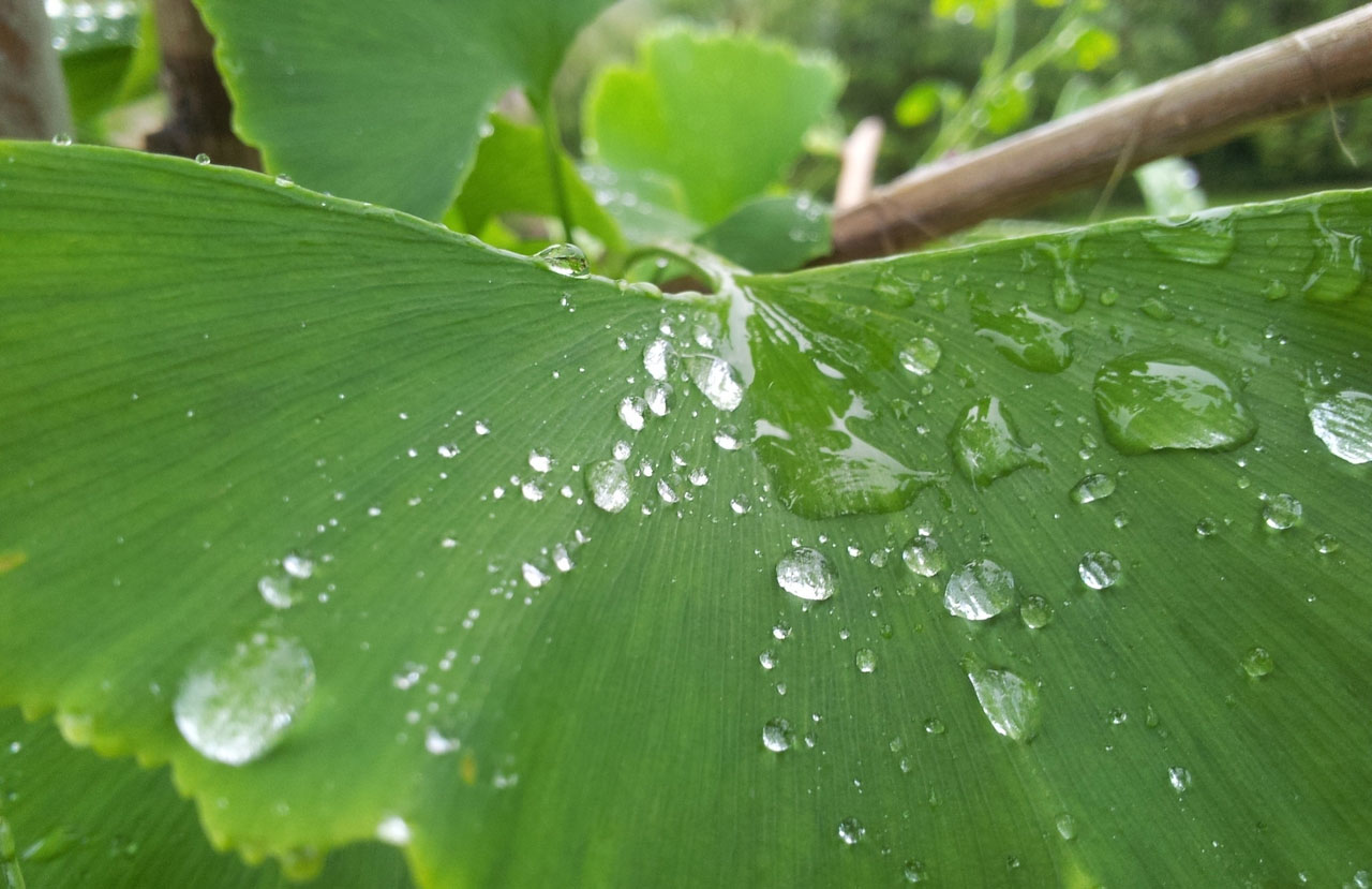 专业级别且性能卓越的DDOS攻击平台